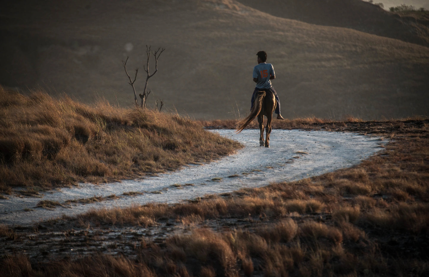 The forgotten island