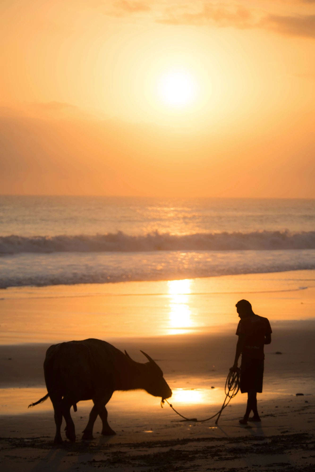 The forgotten island